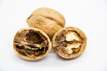 one indoor and one outdoor walnut in the campsite on white background