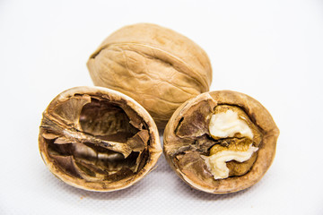 one indoor and one outdoor walnut in the campsite on white background