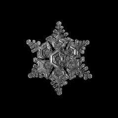 Snowflake isolated on black background. Macro photo of real snow crystal: complex, big star plate...