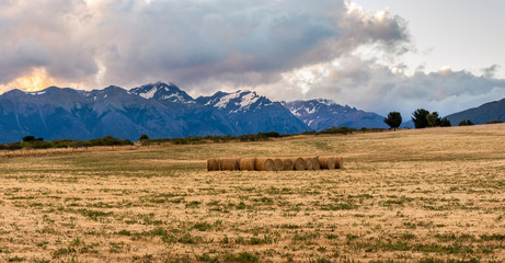 round bales of straw in a Patagonia field against Andes mountains.