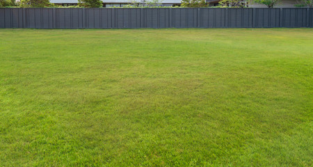 Obraz premium Green grass and black wall background