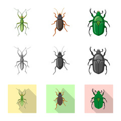 Vector design of insect and fly icon. Collection of insect and element vector icon for stock.
