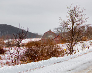snowy weathered gray and red barns and bare trees next to country road