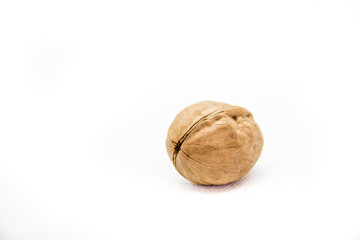 one indoor walnut in the campsite on white background