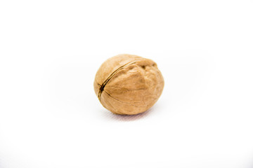 one indoor walnut in the campsite on white background