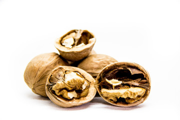 a few walnut in shell and peeled on white background