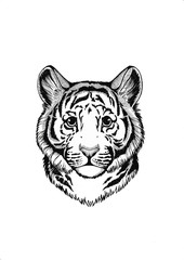 African animal. Wild tiger. Small animal. Cute print for children clothes.