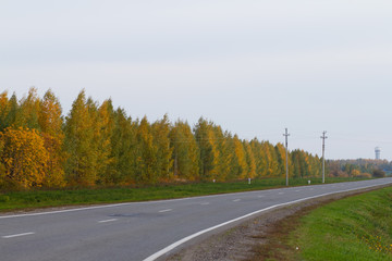 Fototapeta premium beautiful colors of the autumn forest by the road