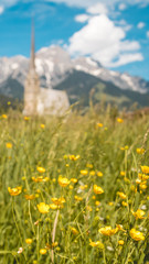 Smartphone HD wallpaper of beautiful alpine view at Maria Alm - Tyrol - Austria