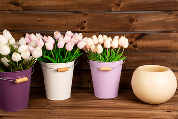 Tulipanes blancos y rosas en maceteros de colores sobre fondo de madera.