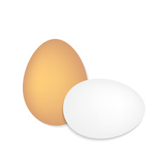 eggs on a white background- vector illustration