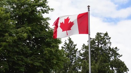 Canadian Flag blowing in a gentle breeze.