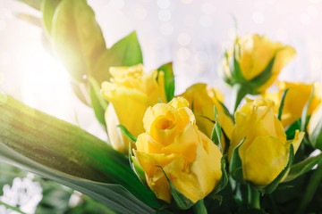 A bunch of yellow roses