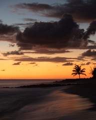 Sunset over Beach and Palmtree