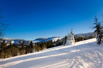 Winter trekking Beskidy mountains Rysianka