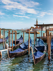 Blue Tarped Gondolas in Venice Italy
