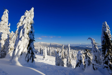 Winter trekking Beskidy mountains Rysianka