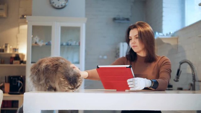 A cat is getting stroked by a lady with a robotic arm