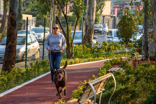 Mujer paseando perro en el parque