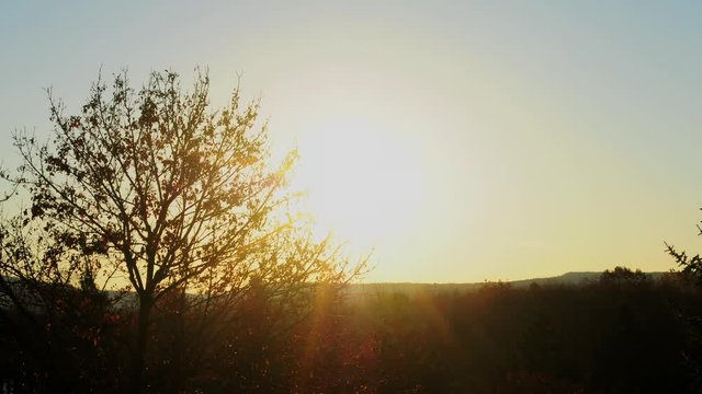 This is a time lapse of the sunrise over a beautiful valley. A lone tree is in the foreground as the sun rises on the horizon.
