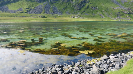 Summer at Soroya, Norway