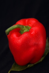 red pepper with drops