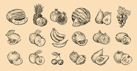 Fototapeta na wymiar Set of fruits. Fresh food, healthy eating concept sketch. Vector illustration