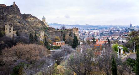 Obraz premium Narikala Fortress view from botanical gardens