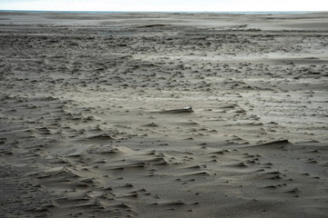 le sol sablonneux d'une plage sculpté par le vent