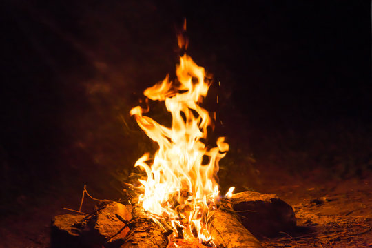 Bonfire near water in forest