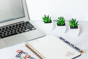 Small pots with succulents, notebook, pencil and laptop on desktop. A minimalistic stylish workplace