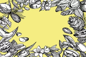 Gordijnen Almonds, Pecan, Cashew nuts, Hazelnut, Pine nuts, Walnuts and Nutmeg sketch illustrations. Vector Hand drawn illustrations isolated on white background. © asetrova