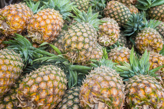 a lot of pineapples on market in Zanzibar