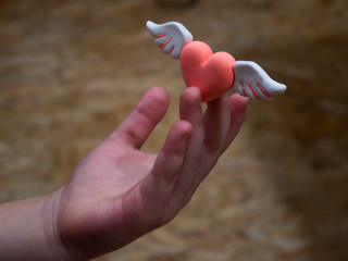 Pink heart with wings in the hands Love Carry Valentine