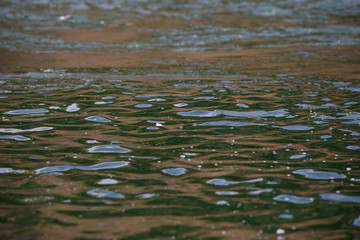 Lower Deschutes River Oregon Fly Fishing Trip in May