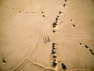 Naklejka premium riding in the desert