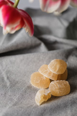 Marmalade and tulips on the gray background