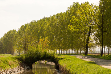 Campagna del Lodigiano (Lombardia)