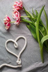 Heart from rope and bouquet of tulips on a gray background with space for text