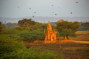 pagodas (temples) at sunrise. Bagan Myanmar