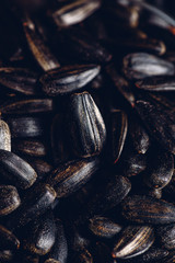 Background of sunflower seeds