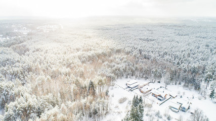 winter scene in forest from high view