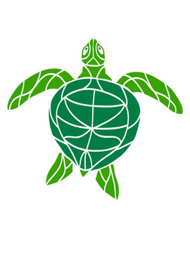 wasserschildkröte schildkröte wasser turtle schwimmen meer flossen clipart design schön panzer tattoo logo