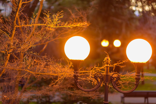 Round street lamp on the background of trees. Street lighting lamp. Street lamp in the park. Control system for urban lighting.