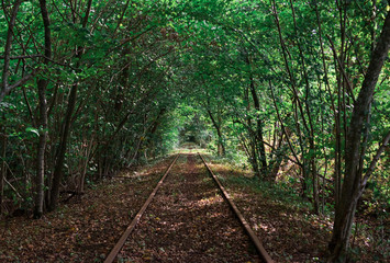 Train tracks inside a forest that has grown to a tunnel around them. Trolley available to ride along the tracks and back. Shot during summer on a warm day in southern Sweden. 