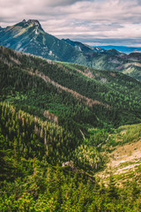 Tatra mountains landscape in Poland during the summer