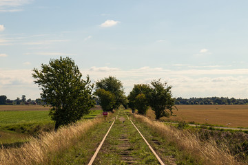 Old abandoned train tracks going thorugh trees and across fields in southern Sweden during a hot summer day.