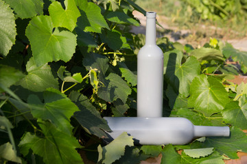 two gray bottles, one stands, the other lies, on the background of grape leaves, in the leaves, on the street. vineyard in the countryside. natural production. Home wine.