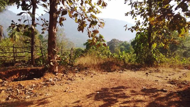 View of the mountain from the jungle in India