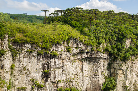 Beautiful landscape of Itaimbezinho Canyon and green rainforest,